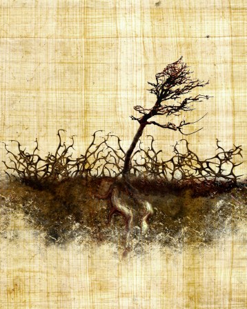 Sower Thorns Madison.Murphy