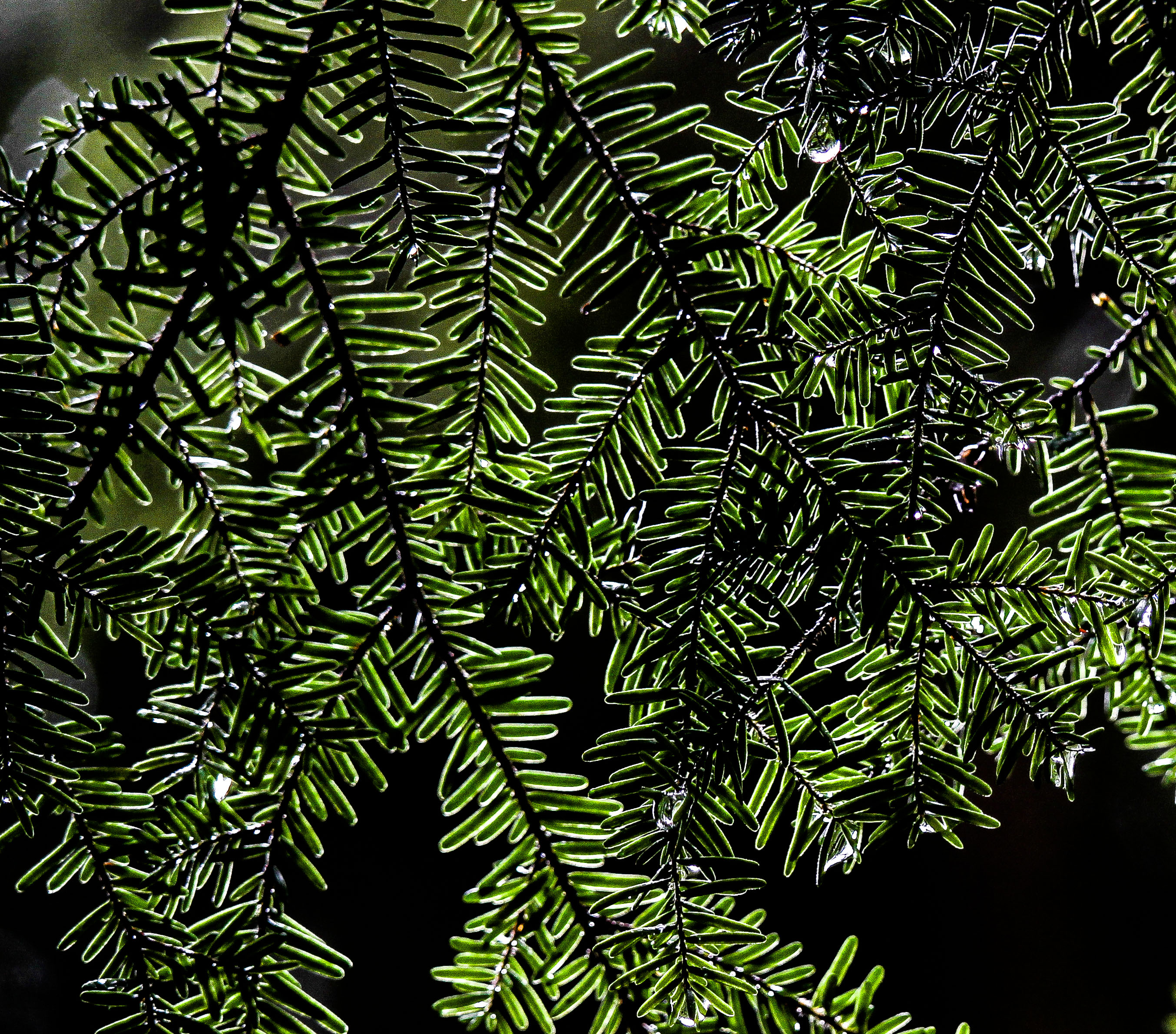 Texture 2 Tila Savigny
