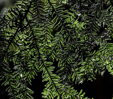 Texture 2 Tila Savigny