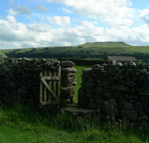 an open gate by Rachel Hartland