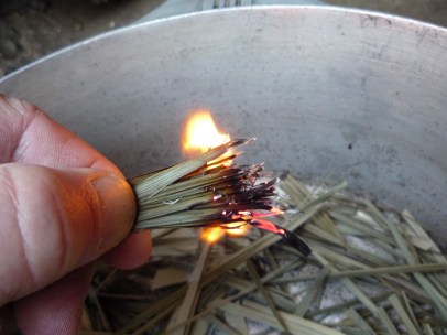 Last year's palms by Gerry Brague
