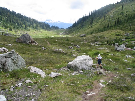 Down from Mt Brandywine