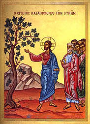 Miracleofthefig