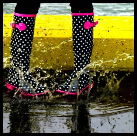 splash!-Anne Yungwirth