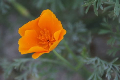 4399169435_35ccba9ab0_b