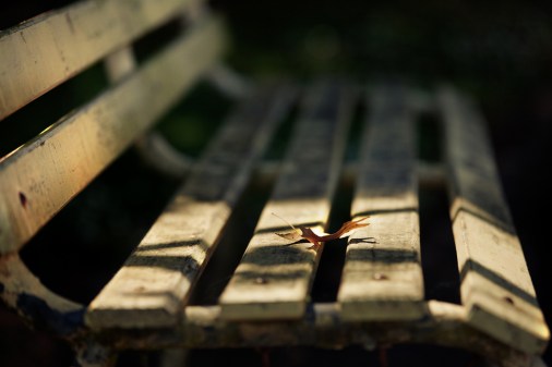 6278574520_3468bb59f9_b