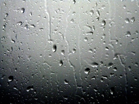 6684066771_eca58666dc_b