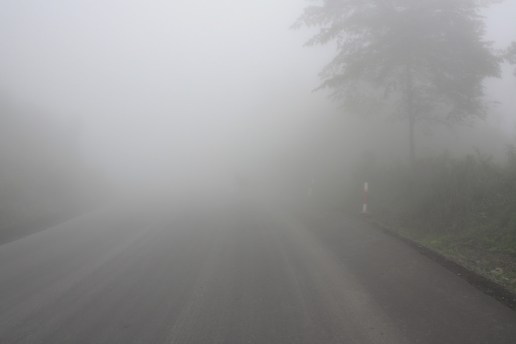 4454752004_8e5d43bf3a_b