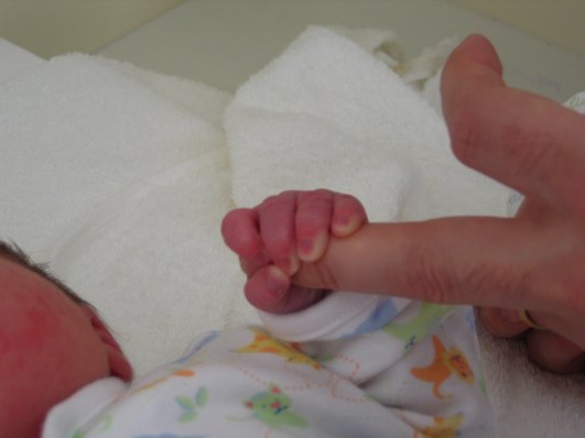 178341575_9c34ef4d16_b