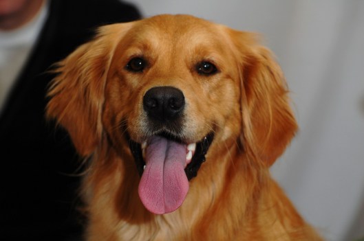 3600836516_ab924c6729_b